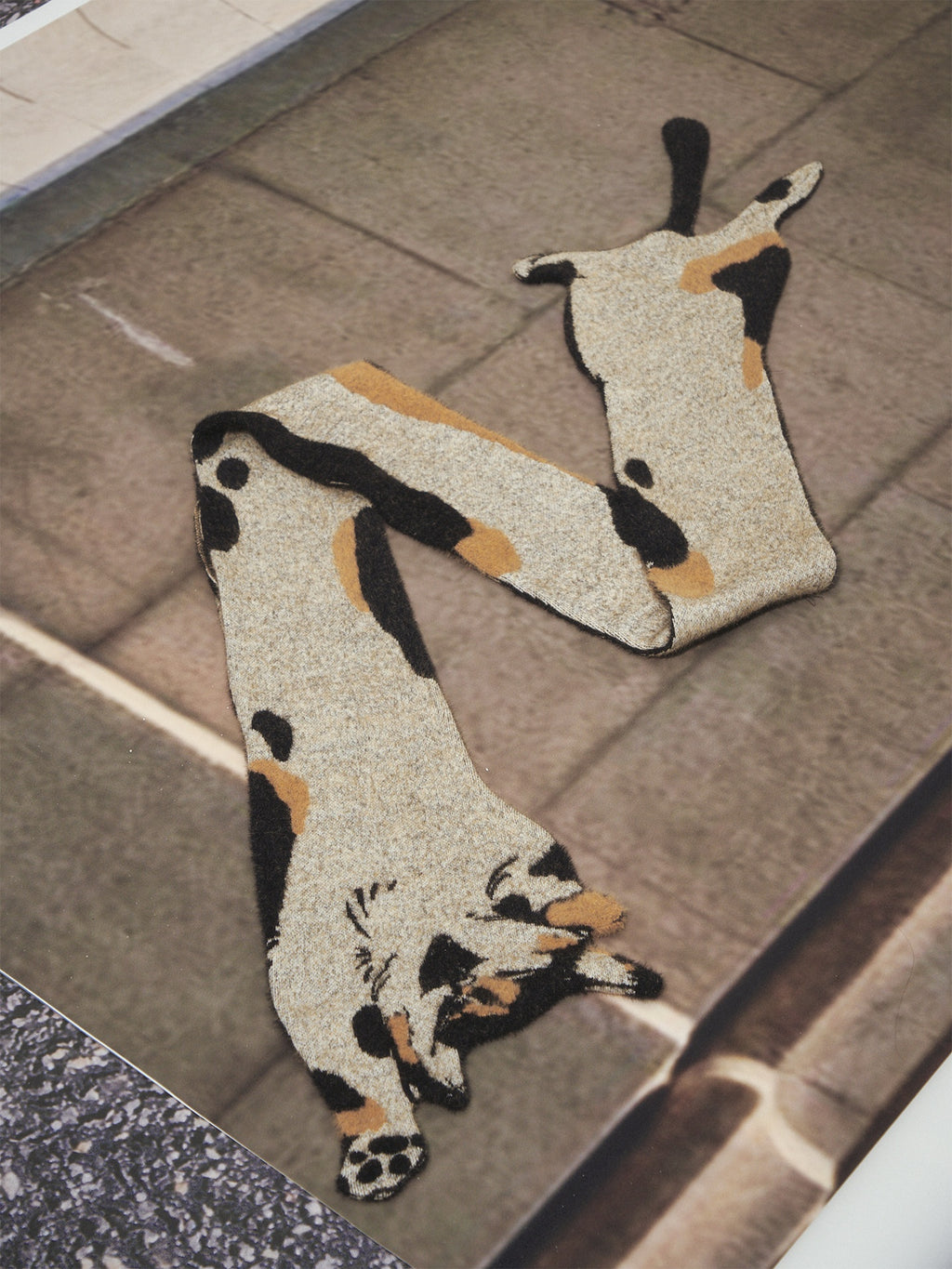 OfAkiva_Versatile_Decorative_Printed_Korean_Rectangular_Cute_Cat_Motif_Unisex_Scarves_MISSTT