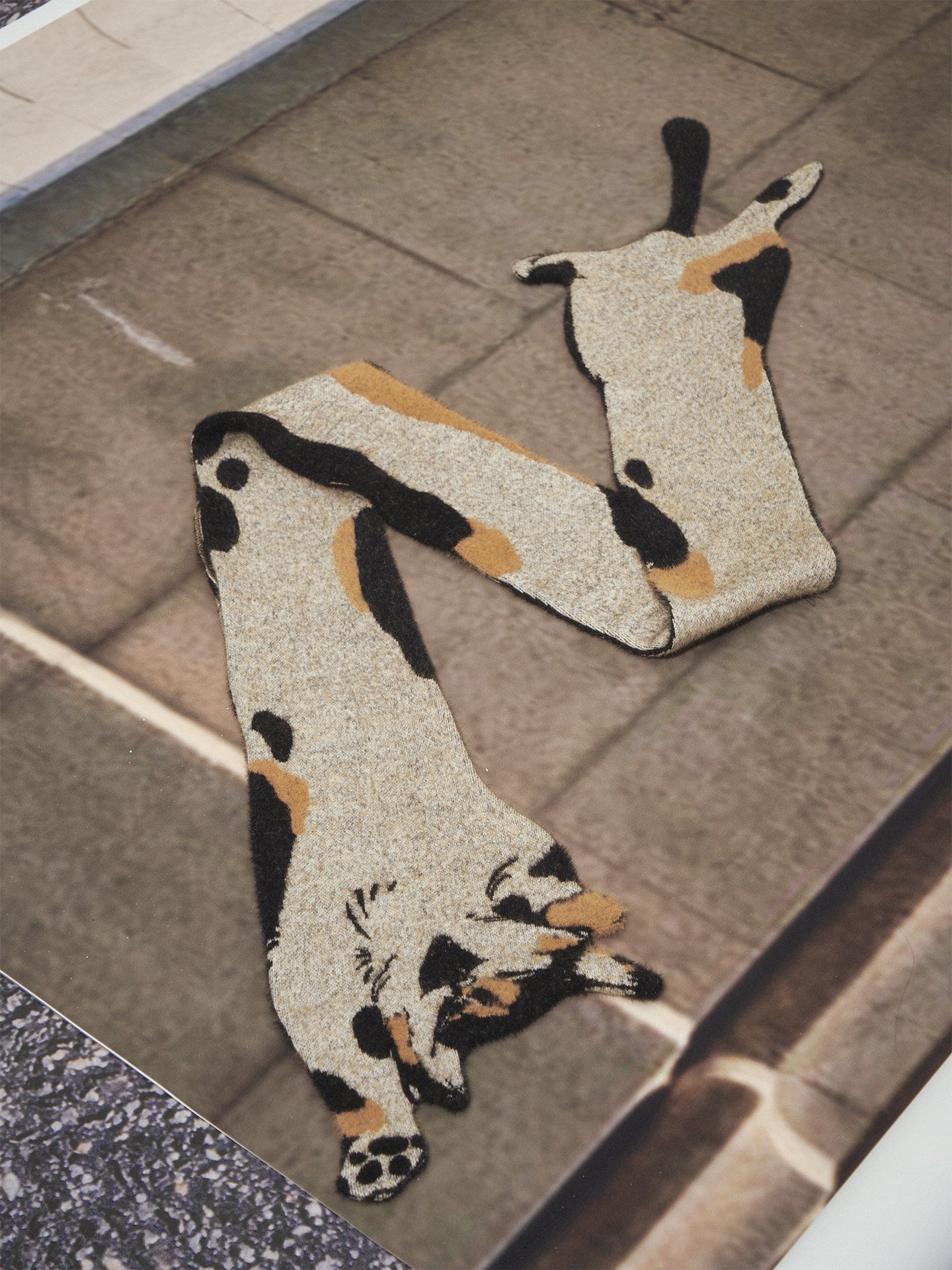 OfAkiva_Versatile_Decorative_Printed_Korean_Rectangular_Cute_Cat_Motif_Unisex_Scarves_MISSTT