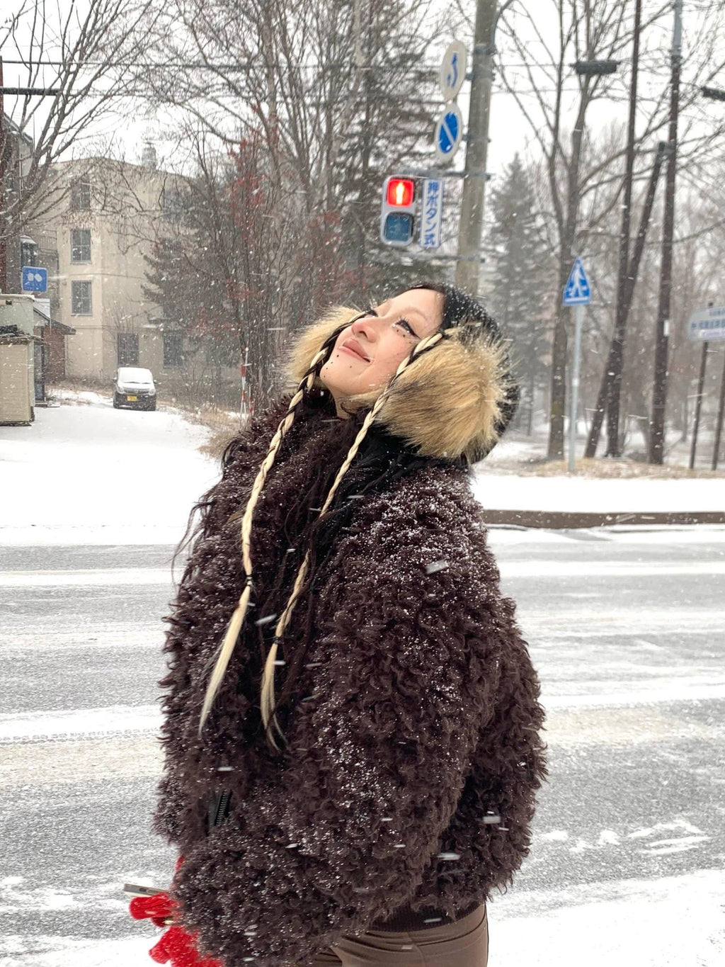 Flowers birds Market Insulated Sherpa Collar Warm Oversized Street Zip Front Women Puffer Jackets